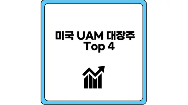 미국 UAM 대장주