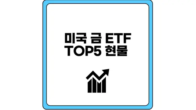 미국 금 ETF