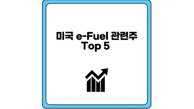 미국 e_Fuel 관련주