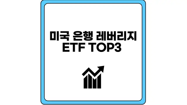 미국 은행 레버리지 ETF