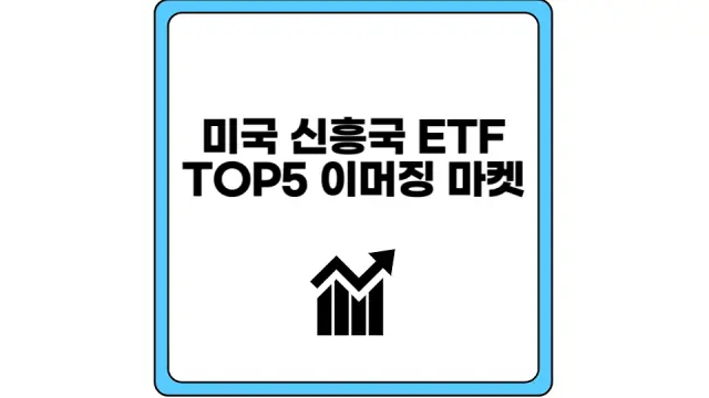 미국 신흥국 ETF